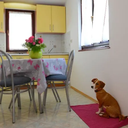 Guest house Kadum Center Near The